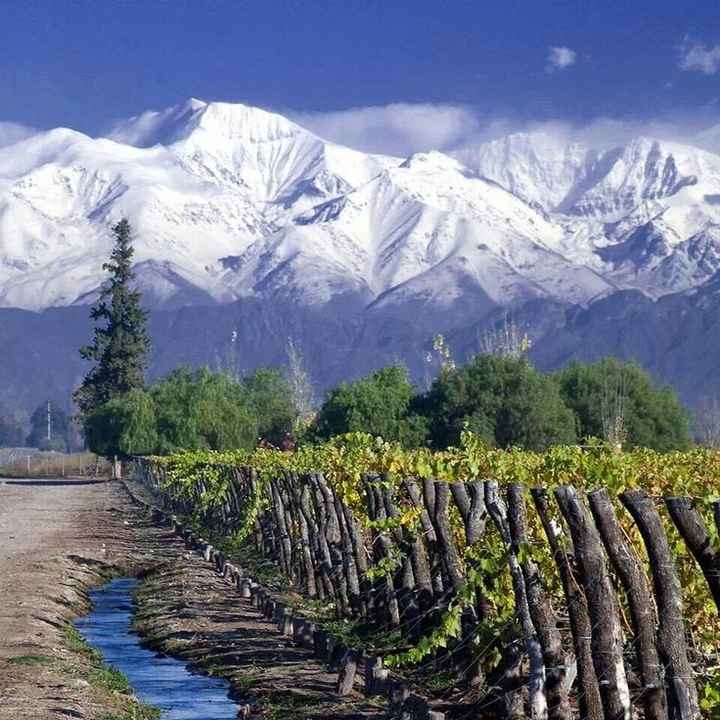 Mendoza