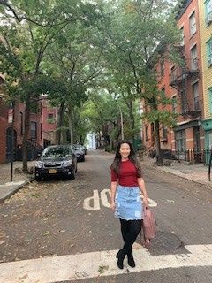 Uma rua fofa no Brooklyn