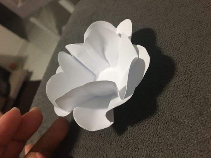  Forminhas de doce fino - 1