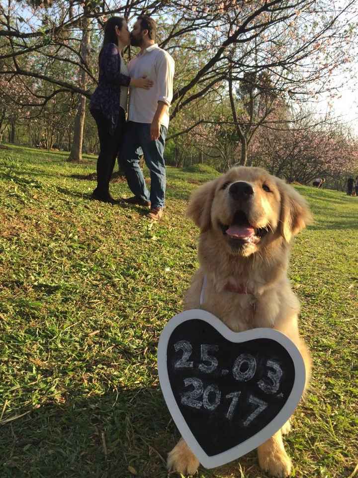 Meu save the date - 4