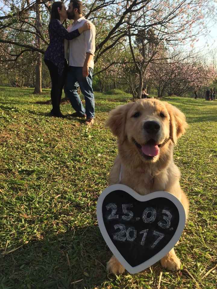 Meu save the date - 5