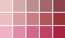 Paleta de cores
