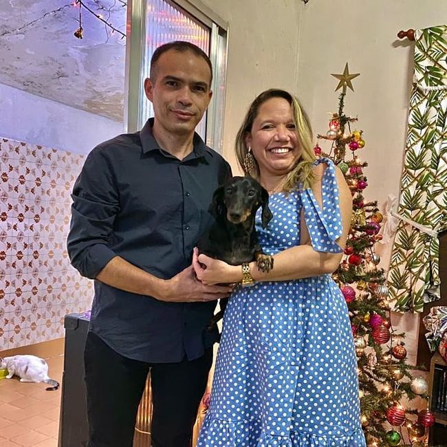 Cachorro levando alianças 6