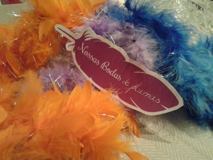 Bodas de Pluma