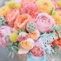 cores claras