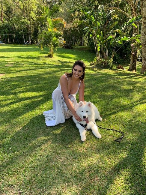 Casamento maravilhoso gastando R$ 10 mil!!! 3