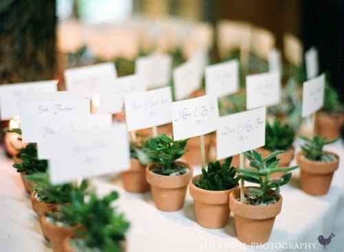 Vaso de Plantas
