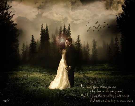 Casamento Bella e Edward