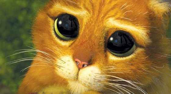 Gato de Botas