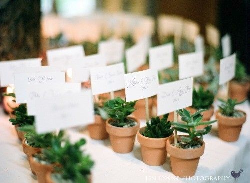 Vaso de Plantas