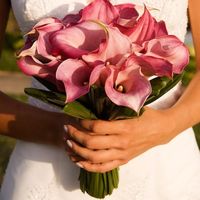Buquê de Calla Rosa