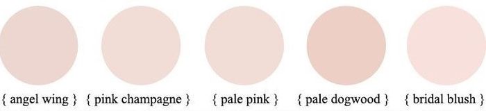 Paleta de cores madrinhas 1