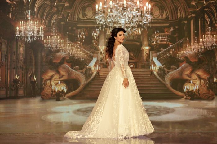 Disney Princess Wedding: Conheça a coleção de vestidos de noiva do Lucas Anderi 9