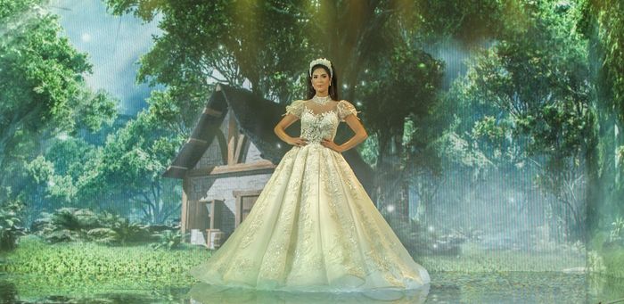 Disney Princess Wedding: Conheça a coleção de vestidos de noiva do Lucas Anderi - 14
