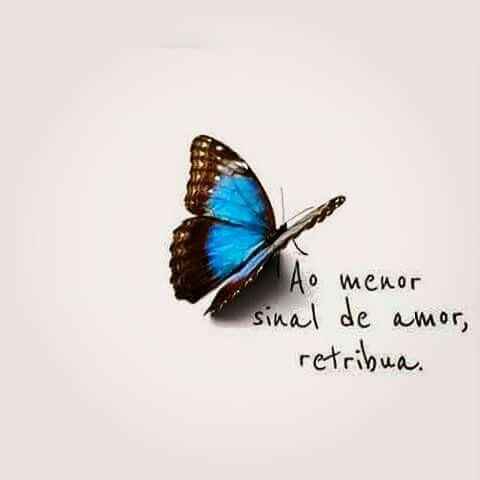 Feliz 2016 - 1