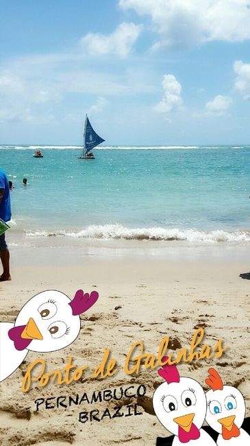 Fds perfeito - porto de galinhas/pe - 9
