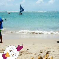 Fds perfeito - porto de galinhas/pe - 9