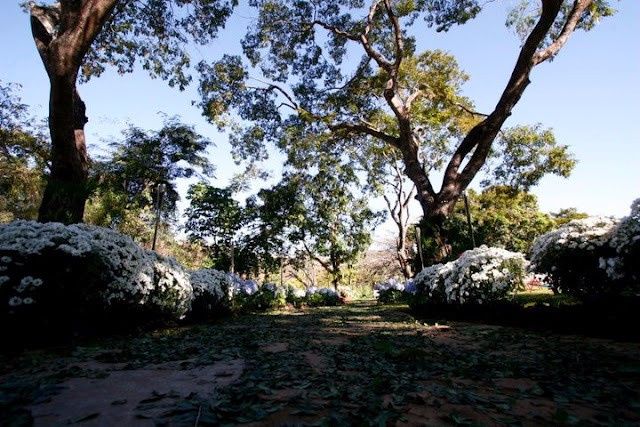 Casamento com arquitetura
