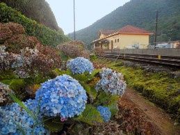 Roteiro de lua-de-mel para Campos do Jordão 33