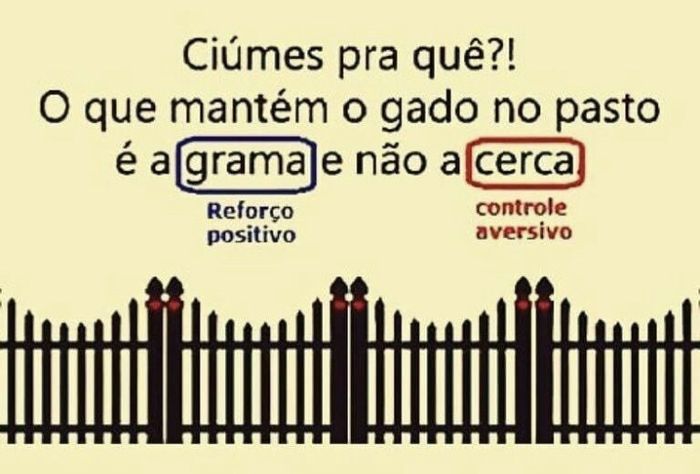 CIÚMES - Sim ou Não? 1