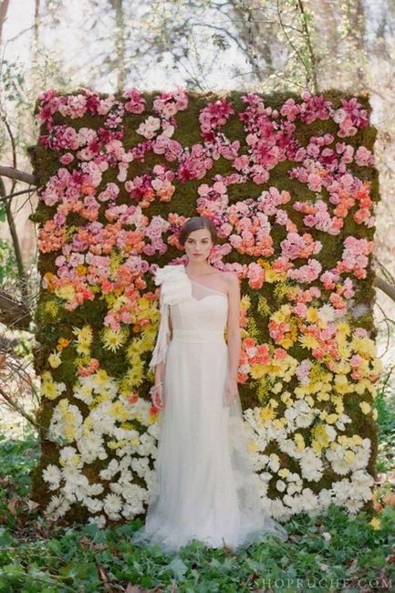 backdrop flores 1