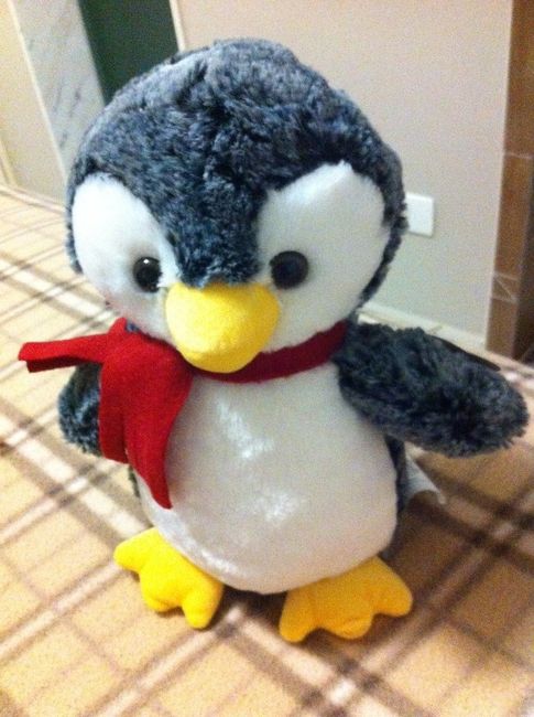 Este é o pinguim que comprei para presentear uma casadinha