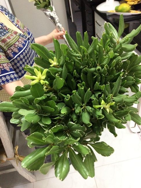 Momento em que minha mãe comprou as flores, na manhã do dia do casamento