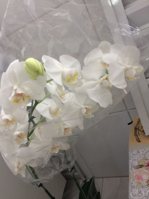 Momento em que minha mãe comprou as flores, na manhã do dia do casamento