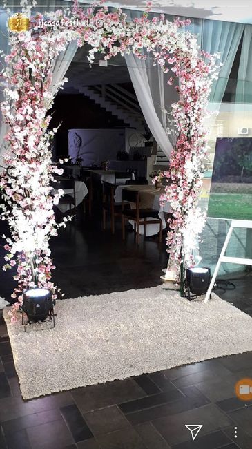 Cor da ornamentação da festa. - 8
