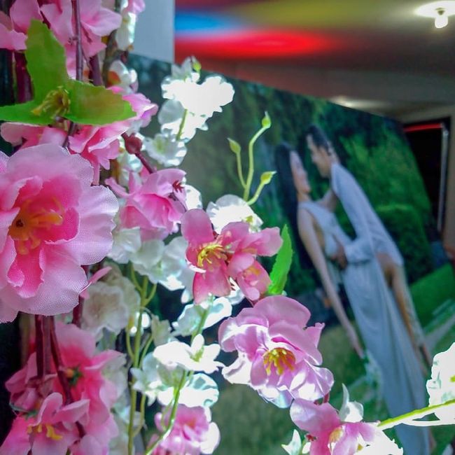 Decoração: cor predominante! - 3