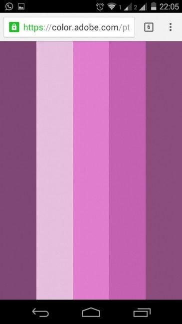 paleta de  cores
