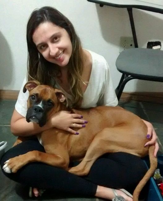 O cachorro entra ou não?! - 1