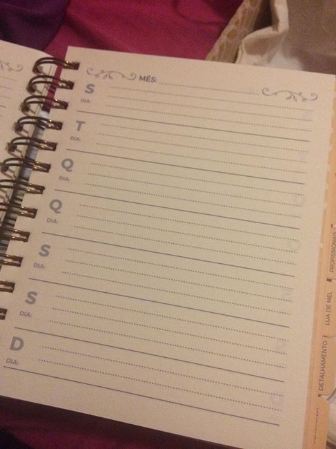 Meu incrível planner da noiva chegou! #vemver #textão 5