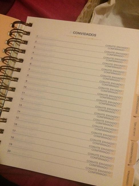 Meu incrível planner da noiva chegou! #vemver #textão 10