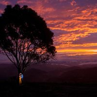 Nosso Pré Wedding ❤ Senta que la vem história! - 14