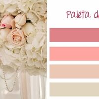 Minha paleta de cores