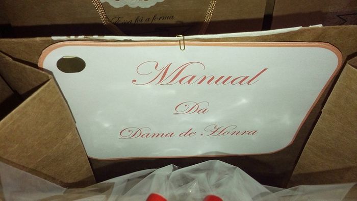 Manual na bolsinha.