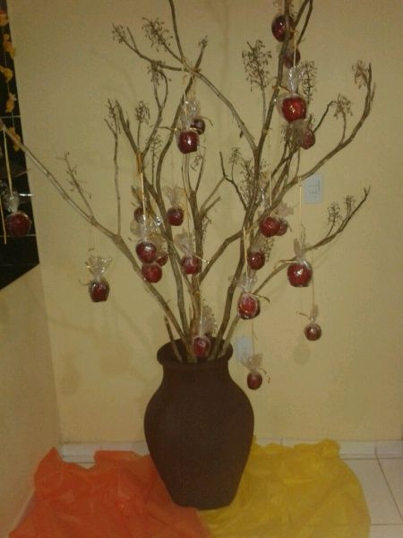 Meu chá de casa! *--* - 6
