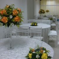 SALAO 6