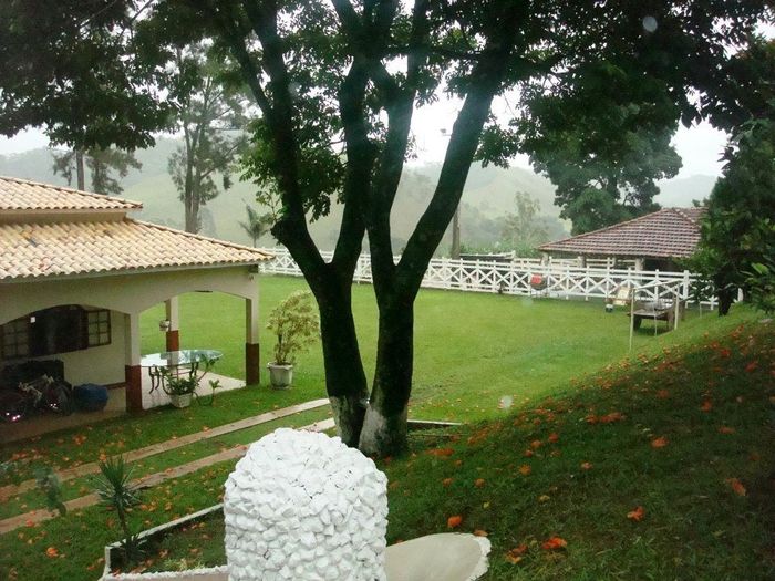 jardim