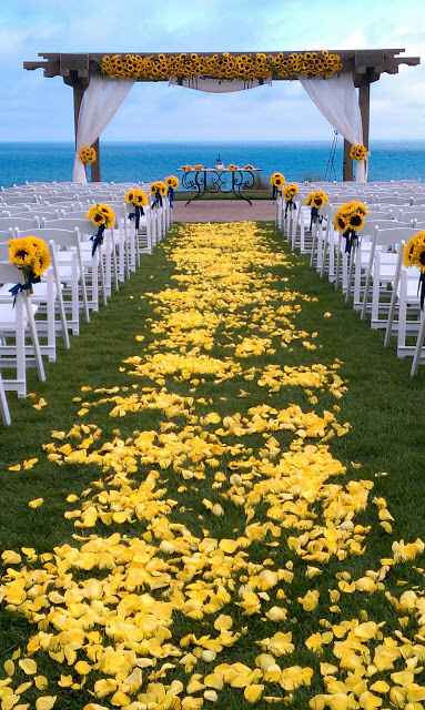  Sonho *-* - 1
