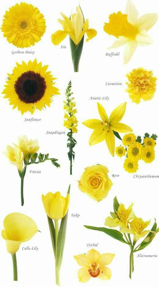 Decoração azul e amarelo - 5