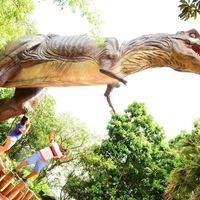 Lua de mel em foz - 23