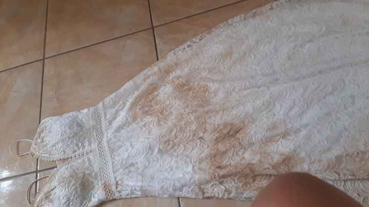 Meu cachorro destruiu meu vestido - 1