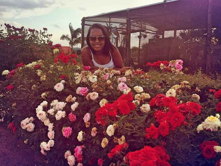 Tbm Gostei muito. Amo Flores!   Visitei Maracas-Ba conhecida como Cidades das Flores e desde então, 