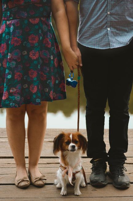 Pedido de Casamento e ensaio de noivado #vemver - 22