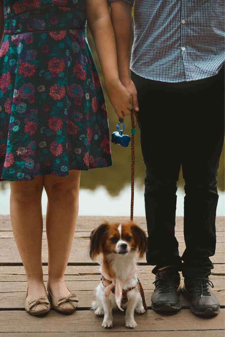 Pedido de Casamento e ensaio de noivado #vemver - 22