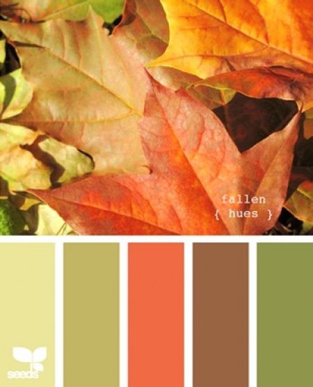 Paleta de cores outono