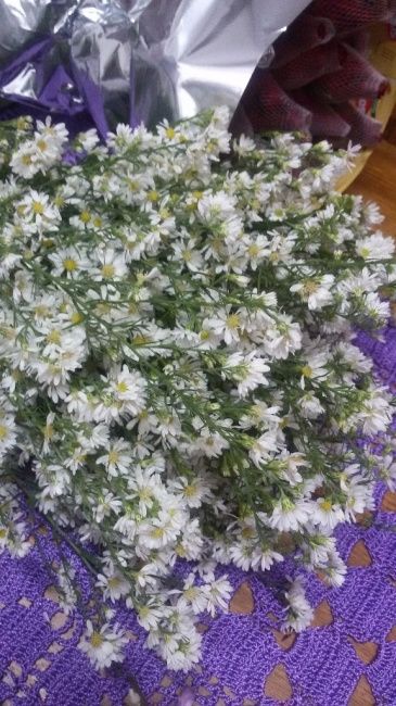 Flores compradas na Feira das flores do Ceagesp.