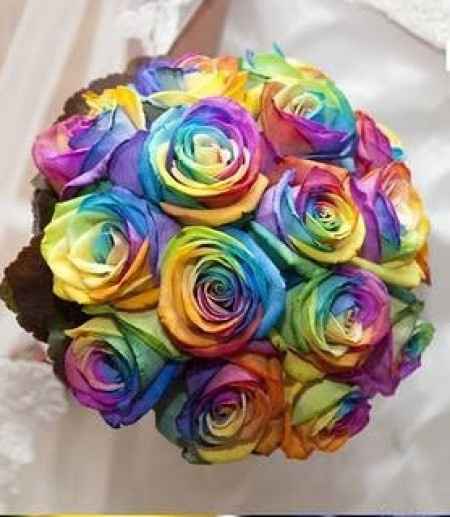 Rainbow Roses - Buque psicodelico